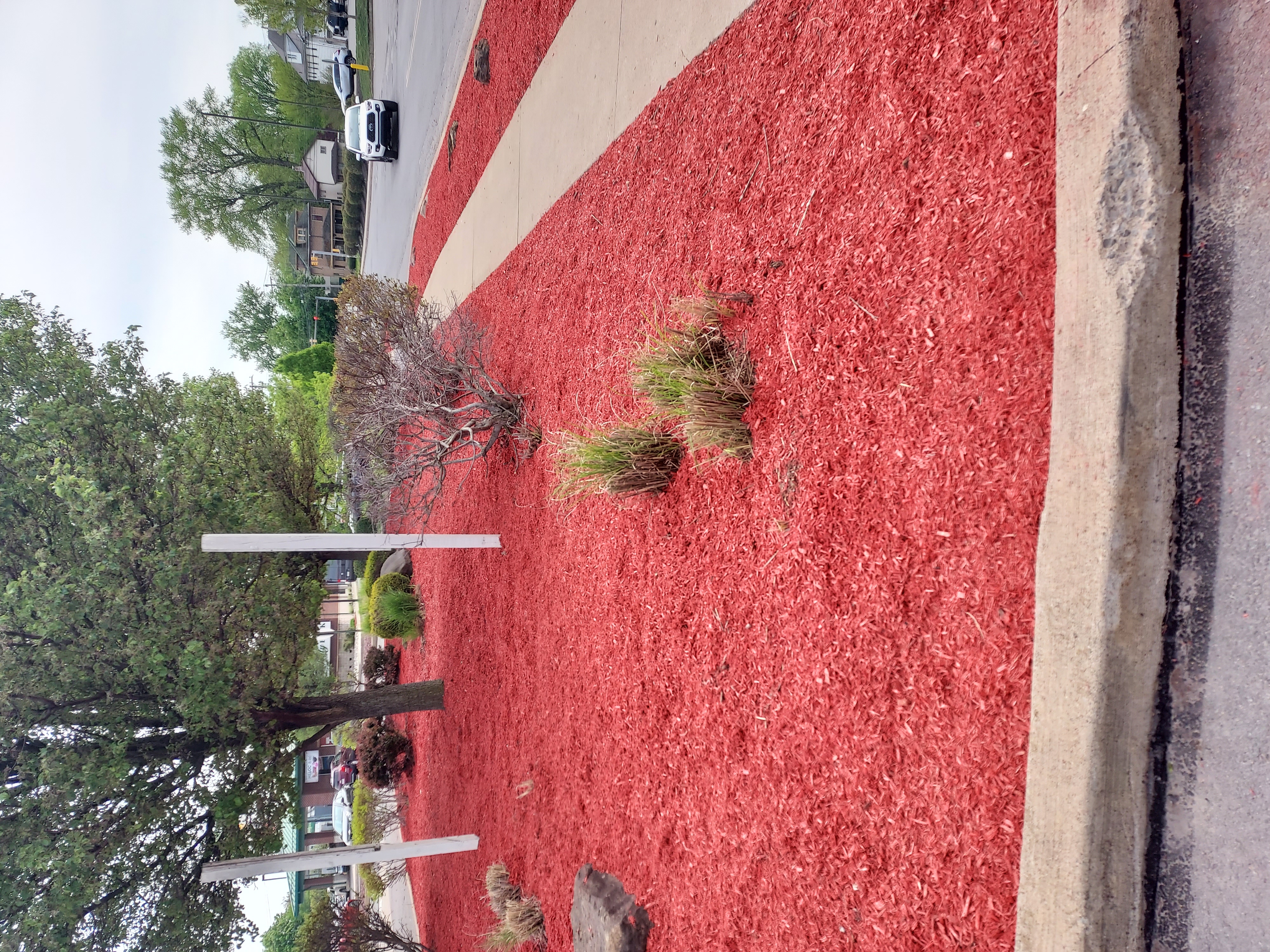 Why mulch is so important in your Dunmore and Clarks Summit flower beds.