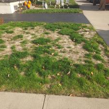 Green-and-Lush-Sod-Installation-and-Lawn-Repair-in-Dunmore-PA 0