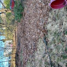 Leaf-Removal-and-Seasonal-Clean-Up-in-Clarks-Summit-PA 0