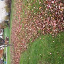 Professional-Leaf-Removal-and-Seasonal-Clean-Up-in-Dunmore-PA 0