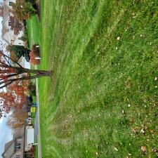 Professional-Leaf-Removal-and-Seasonal-Clean-Up-in-Dunmore-PA 1